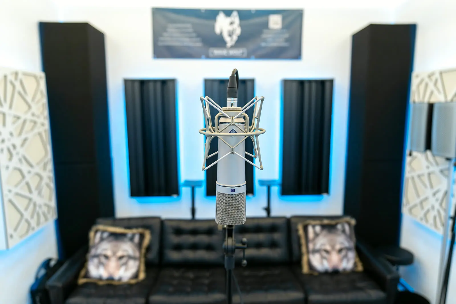 Neumann-Mikrofon in der Recording-Ecke von Wavewolf Studios